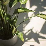 Laresidenza Istria * Poreč