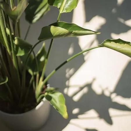 Laresidenza Istria * Porec